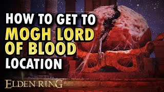 How to Get to Morg Lord of Blood Boss Location Guide [upl. by Ahsiena664]