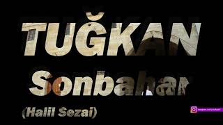 Tuğkan  Sonbahar Cover  Halil Sezai [upl. by Trotter]