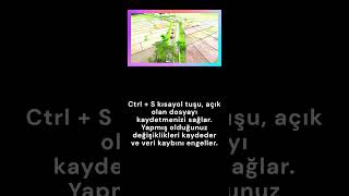 CtrlS ne işe yarar bilgisayar kısayol tuşları [upl. by Rumney]