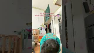 Chloe Ting 2weeks Abs workout challenge Day2 Part3 2monthspostpartum momlife 🗓️Nov222024 [upl. by Curson]