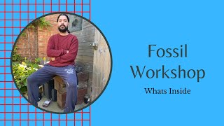 A Look Inside A Fossil Workshop [upl. by Camella]