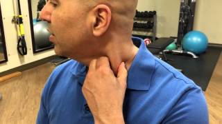 How to selftreat sternocleidomastoid muscle trigger points  trigger point release [upl. by Wolfy]