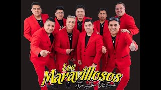 LOS MARAVILLOSOS DE JV  MIX PECADORA [upl. by Wittie]