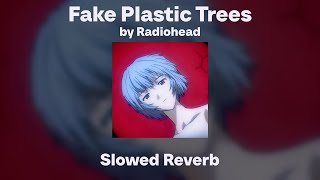 Radiohead  Fake Plastic Trees SlowedReverb [upl. by Lorianne125]