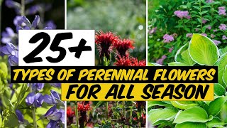 26 Types of Perennial Flowers that Bloom All Season  The Planet of Greens [upl. by Esther184]