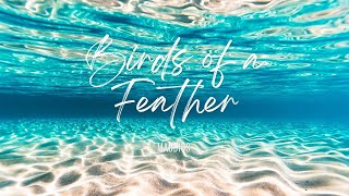 Birds of a Feather Lyrics [upl. by Janeen]