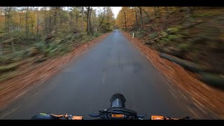 LIVING THE AUTUMN DREAM  KTM SMCR 690 LeoVince Evo One  POV 4K [upl. by Chicoine2]