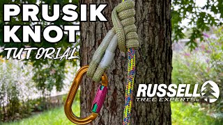 Prusik Knot Tutorial I Russell Tree Experts [upl. by Toback398]