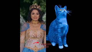 Balveer Return All Pariy🧚🙀Matching dress 🆚️ cat🙀balveer paris with beautiful shortsviralbalveer [upl. by Eirojram]