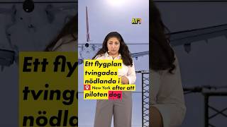 Flyg tvingades nödlanda – pilot dog [upl. by Ajnos]