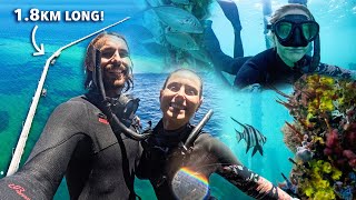 We Freedive the LONGEST Jetty in the Southern Hemisphere The Busselton Jetty  Ep 27 [upl. by Krall]