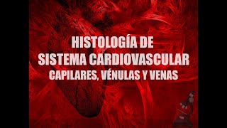 Sistema cardiovascular Vasos sanguíneos Parte 2  Histología [upl. by Aisercal]