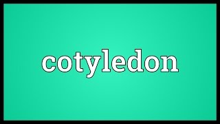 Cotyledon Meaning [upl. by Souvaine]