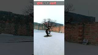 Plants black ho gaya youtubeshorts viralshort viralshort funny trendingshortsviralvideo [upl. by Traggat738]