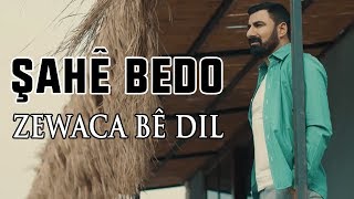 ŞAHÊ BEDO  ZEWACA BÊ DIL Official Video © 2019 Hîv Music [upl. by Anilehcim]