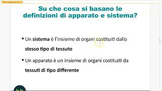 ORGANIZZAZIONE CORPO UMANO [upl. by Adoh]