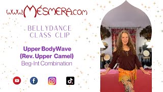 Mesmeras BellyDance Class Clip Upper BodyWave [upl. by Sirtemed]