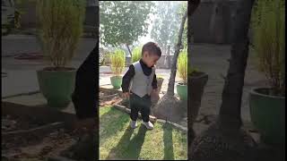 newsong punjabi trendingshorts trending kuber brar sardari garden delhi public [upl. by Ivanna526]