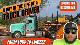 LOGGING LIFE  A DAY IN THE LIFE OF A LOG TRUCK DRIVER  FROM LOGS TO LUMBER [upl. by Raycher]