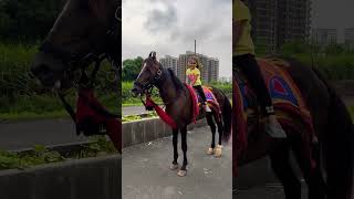 Dhruhi Horse 🐎 Riding  horse horses ghoda horseriding horselover ytvideo shortsfeed dhruhi [upl. by Ahsinahs]