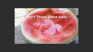 Beginners Guide To Gardening In Watermelon Rinds For Healthy Veggies beginnergardener watermelon [upl. by Margery]