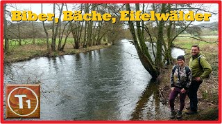 Biber Bäche Eifelwälder  Wandern in Nideggen 27K [upl. by Onilegna]