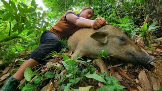 MONSTER Fierce wild boar attacks people wild boar trapping skills survives alone [upl. by Jaquelin69]