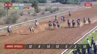 Live Hippodrome « SETTAT »  Courses du « 03102023 » [upl. by Gary982]