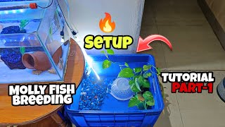 Molly Fish Breeding Tank Setup 🔥😍Breeding Tutorial Part1Nikhil Patle petsvlog vlogs mollyfish [upl. by Yttisahc]