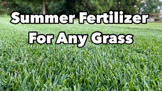 Summer Fertilizer Thats Safe For Any Lawn [upl. by Benny]