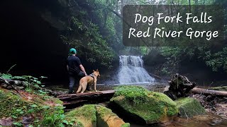 Dog Fork Falls Red River Gorge Geological Area Kentucky  72722 [upl. by Lamrej816]