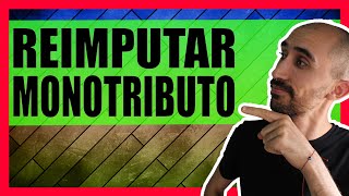 ¿Cómo REIMPUTAR PAGOS por saldos a FAVOR en el MONOTRIBUTO 🟢 Ganale a la AFIP 😎 [upl. by Reiniar14]