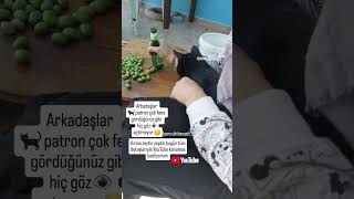 Kırma zeytin yapmayan kalmasın detaylar videolar kısmında yeşilzeytin hamzeytin zeytin tarif [upl. by Tabb]