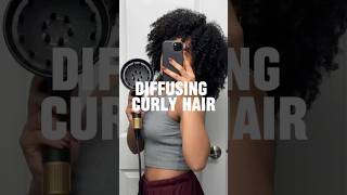 How I diffuse my 3c4a hair hairtok curlyhair curlyhairstyles hairgrowth curlyhairtutorial [upl. by Alcott]