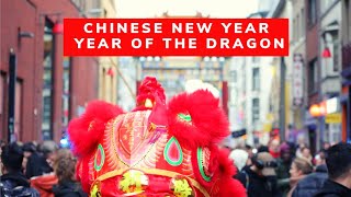 📍 ANTWERP  Chinese New Year 2024 🐲 Year of the Dragon 🐉✨️ Antwerp Belgium [upl. by Lefkowitz]