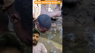 Water drinking style fishing fish africa catfish nature [upl. by Uhej]