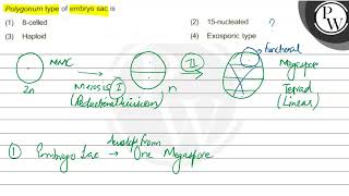 Polygonum type of embryo sac is 1 8celled 2 15nucleated 3 Haploid 4 Exosporic type [upl. by Akima]