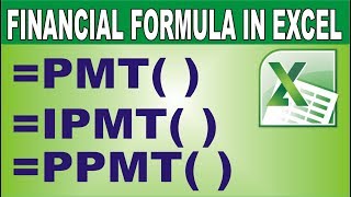 Excel Financial Functions PMT IPMT PPMT in Hindi [upl. by Nowed]