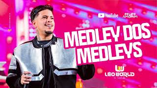 FELIPE AMORIM  MEDLEY DOS MEDLEYS [upl. by Korwin]