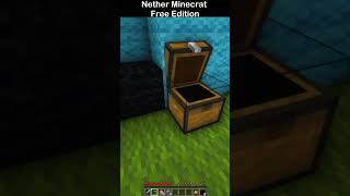 Bro Go to Nether at Minecraft Free Edition minecraft shorts minecraftshorts [upl. by Ariadne446]