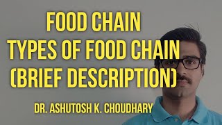 Food chain  Types of Food chain  Food web  Simple description [upl. by Aitnis]