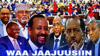 Dawo ceebta manta xasan shek xildhibanada jubaland waa jajusiin Kenya itobiya dacwad Aya [upl. by Henebry]