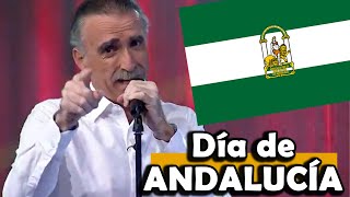 El nuevo HIMNO de ANDALUCÍA 🇳🇬🤣🤣 El Niño del Ukelele [upl. by Tivad]