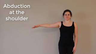 Muscle Actions Deltoid [upl. by Merissa]