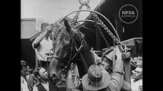 ATCtv  Excerpt from the Mighty Conqueror  Phar Lap [upl. by Kcyrred]