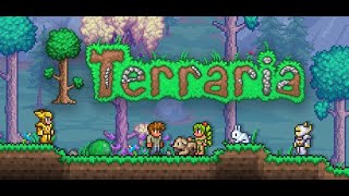 Terraria  Longplay No Commentary [upl. by Anileve]