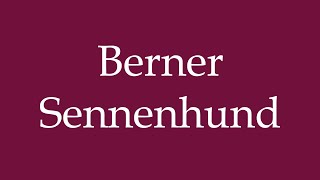 How to Pronounce Berner Sennenhund Bernese Mountain Dog Correctly in German [upl. by Nivets]