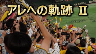 2023年 阪神タイガース 18年ぶり“アレ”への軌跡② [upl. by Enuahs624]