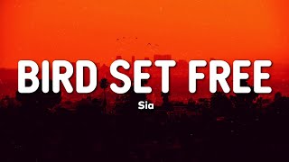 BIRD SET FREE  SIA  LYRICS [upl. by Seif752]