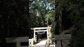 ✨世界遺産✨ ⛩️「花の窟いわや神社」⛩️ ※三重県熊野市 [upl. by Ahsemac]